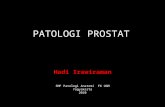 Patologi Prostat