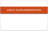 Visco supplementation