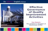 Elizabeth Harnett - Effective Governance of Quality Improvement Activities