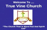 Welcome to true vine church fixed