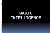 Basic intelligence