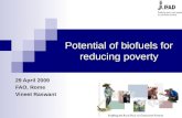 Potential of biofuels for reducing poverty