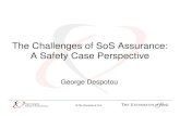 The challenges of so s assurance