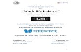 Hindusthan Zinc Ltd Work Life Balance