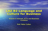 B2 Module II Internet, Ic Ts And Business Contexts