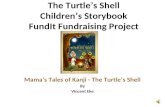 The turtle’s shell children’s storybook fund it fundraising project