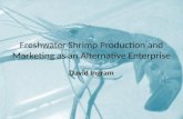 David Ingram - Freshwater Shrimp Production and Marketing