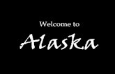 Briefing Alaska - School Project