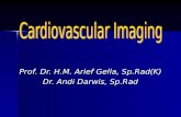 Cardio Vas c Imaging - Kuliah