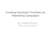 Facebook timeline for Marketing Campaigns.