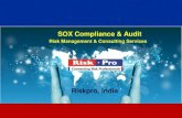 Sox compliance services brochure 2013