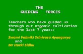 The Guiding Forces -  Organic tea in Assam and Arunachal Pradesh