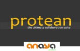 Protean-The collaboration suite