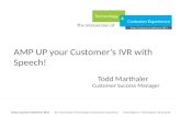 Using Speech IVR and analytics to communicate and serve your customers