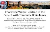 Improving vision function in the patient with Traumatic Brain Injury