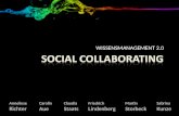 Social Collaborating