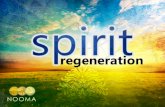 Nooma Spirit Regeneration