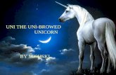 Uni the Uni-Browed Unicorn
