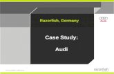 Audi Relaunch Case Study 2002