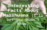 Interesting Facts about Marihuana I Bet You Didn't Know
