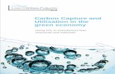 CCU in the Green Economy Report