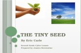The Tiny Seed Powerpoint