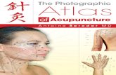 Photographic Atlas of Acupuncture