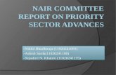 Nair committee report on priority sector advances