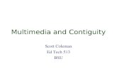Multimedia and Contiguity