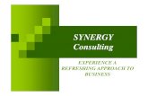 Synergy Consulting Presentation Eng