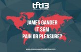 TFT13 - James Gander, IT S&M, Pain or Pleasure?