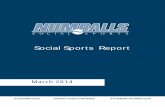 Numballs - Social Sports Report March 2014