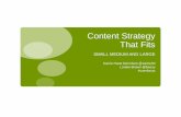 User-Focused Content Strategy That Fits (Carrie Hane Dennison, Lorelei Brown)