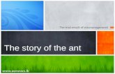 The story of ant