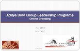 Aditya Birla Group Case Study: Online Branding (ppt)
