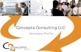 Concepts Consulting LLC Profile