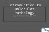 Introduction to Molecular Pathology
