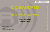 RFID: What & Why - Stefano Coluccini