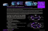 Openbravo ERP Platform Brochure March 2014 (English)