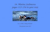 10 Marine Sediments Notes