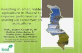 Investing in small holder agriculture in Malawi to improve performance by scaling up conservation agriculture