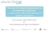 The use of virtual environments as an extended classroom  - a case study with adult learners in tertiary education