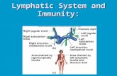 9 Lymphatic System and Immunology