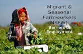 Migrant and Seasonal Farmworkers
