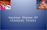 Phases of Clin Trial