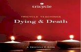 dying and death  eBook