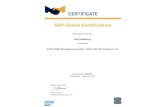 SAP Courses PPT 130416