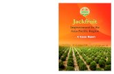 Jackfruit a Success Story 31-8-2012