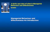 37577192 Managerial Behaviour and Effectiveness Ppt