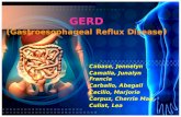 79209988 GERD Gastroesophageal Reflux Disease